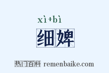 细婢是什么意思的图片